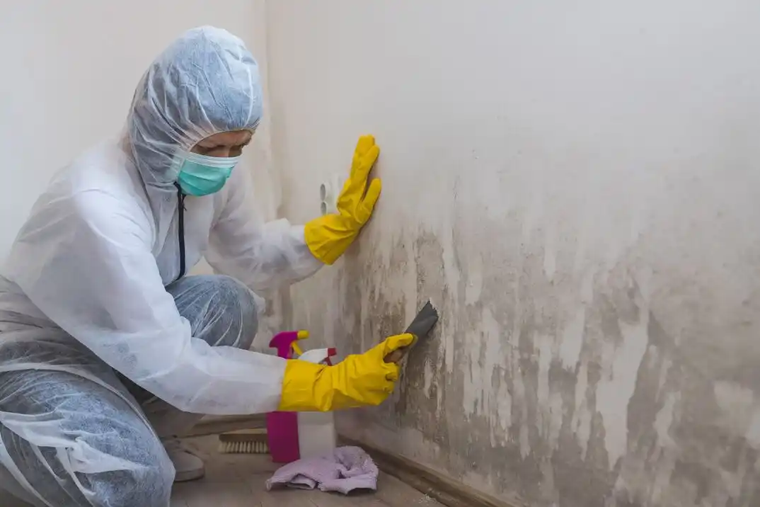 water damage restoration service Tank Park